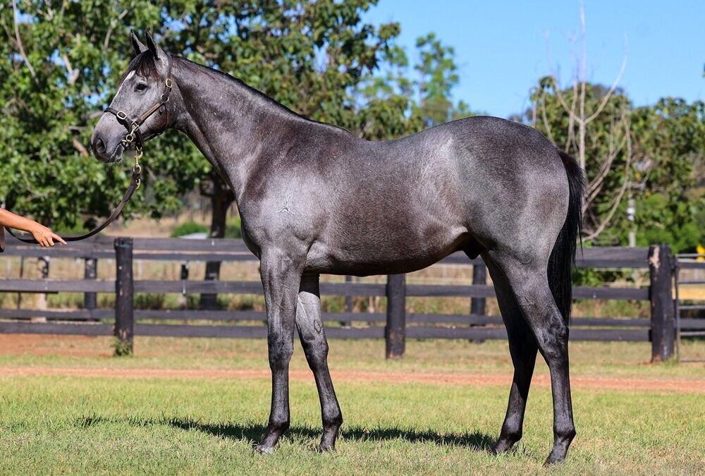 Un-named (Spirit Of Boom – Bevico Girl)