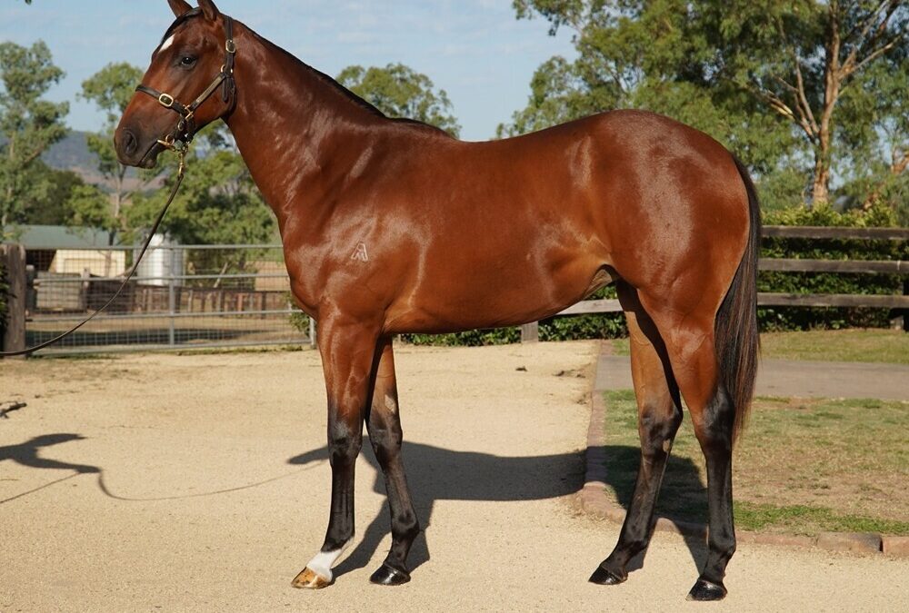 Un-named (Hellbent – Misteed)