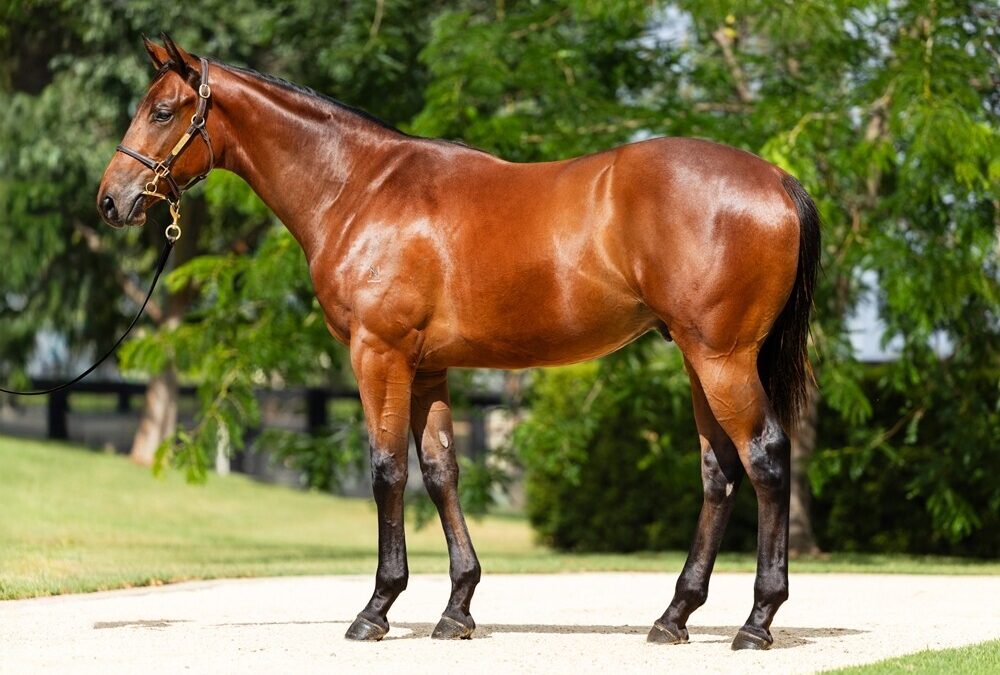 Un-named Capitalist x Madeenaty