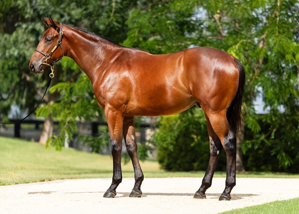 Un-named Capitalist x Madeenaty