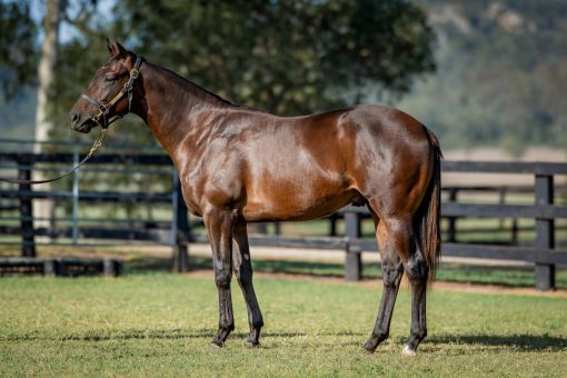 Un-named (Trapeze Artist - Misplaced)